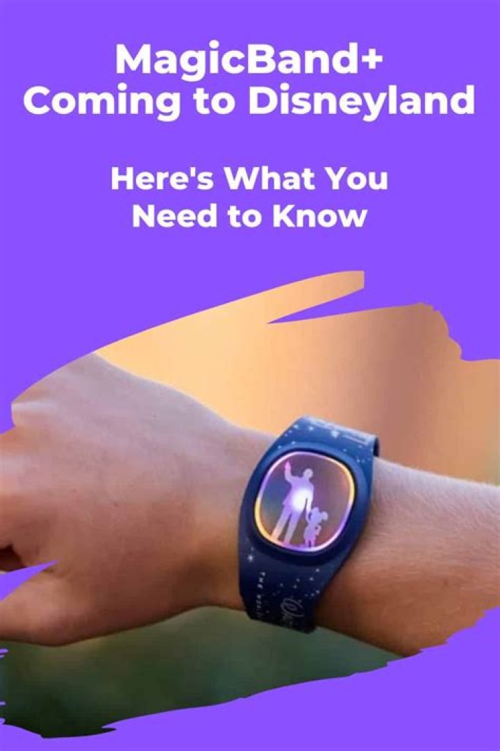 New Walt Disney World MagicBands You Know You Want