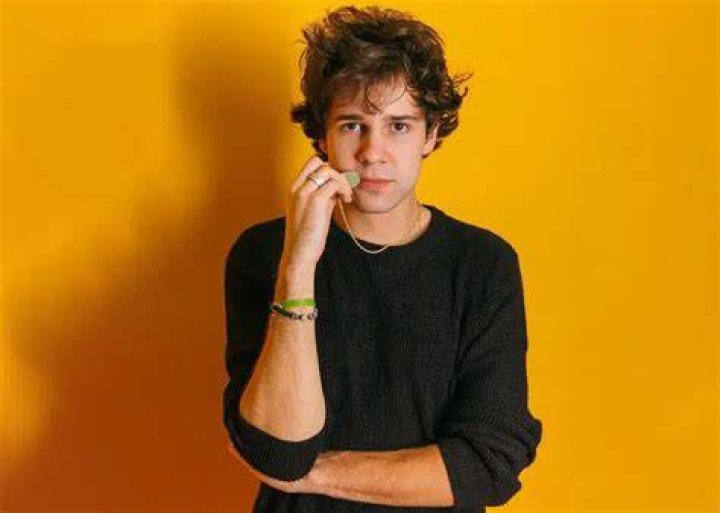 Why Is David Dobrik Famous?